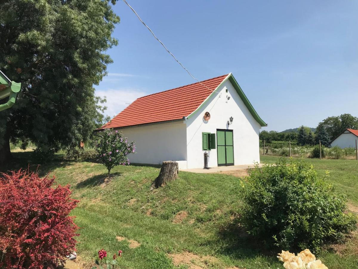 Apartamento Joe Bácsi Rezidenciája Kisharsány Exterior foto